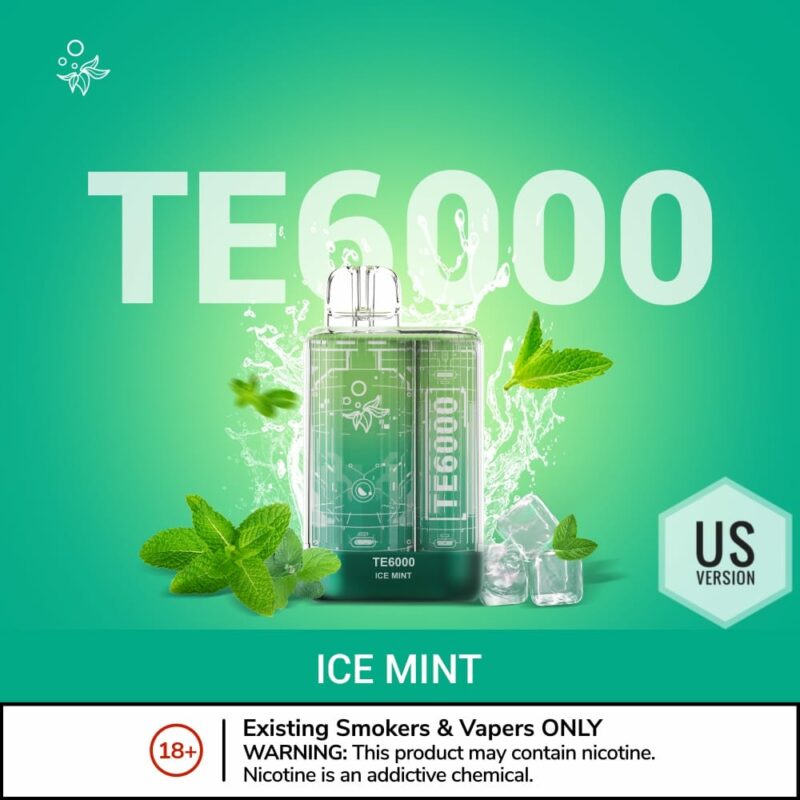 elf bar TE6000