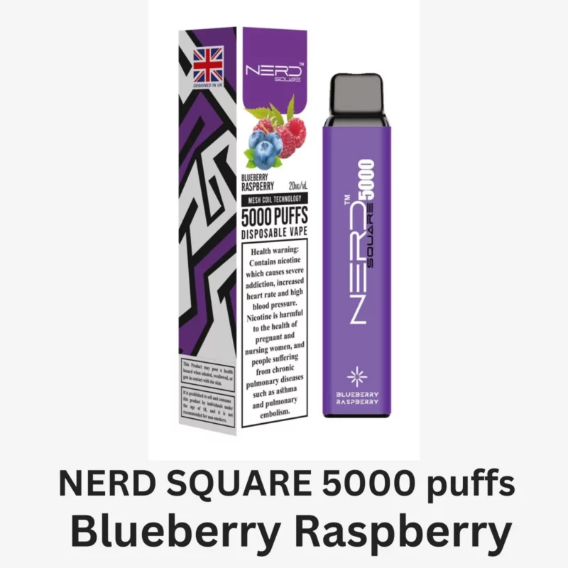 NERD SQUARE 5000 puffs Disposable