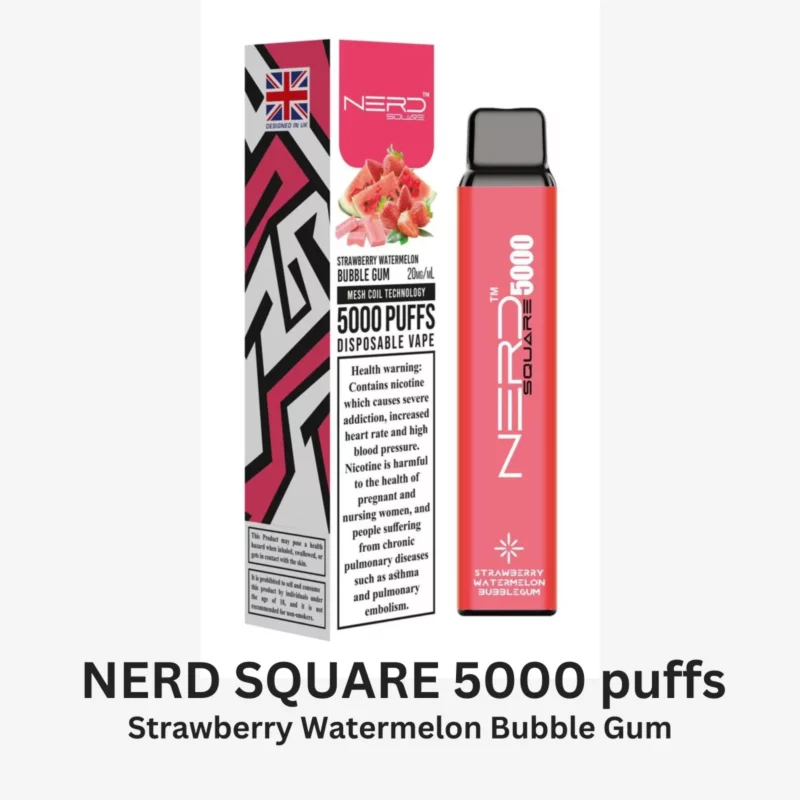 NERD SQUARE 5000 puffs Disposable