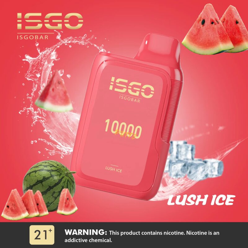 ISGO BAR 10000 Puffs DISPOSABLE VAPE