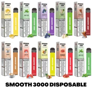 Smooth Disposable 3000 Puffs 2 Nicotine Vape Shop Dubai Vape Shop Near Me