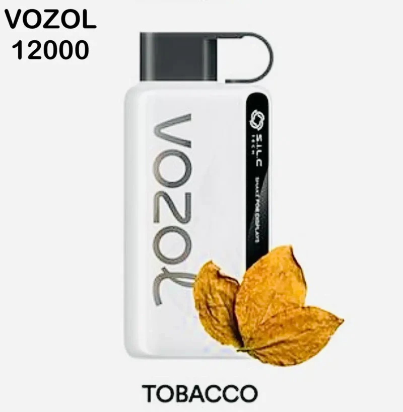 Vozol Star 12000 Puffs Disposable Vape Vape Shop Dubai Vape Shop Near Me 11