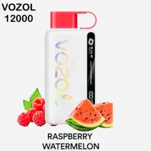 Vozol Star 12000 Puffs Disposable Vape Vape Shop Dubai Vape Shop Near Me