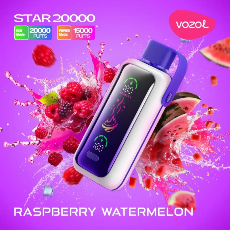 Vozol Star 20000 Puffs Disposable Vape Vape Shop Dubai Vape Shop Near Me 9